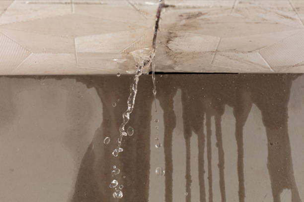 Professional Water Extraction technician working in Rye, TX